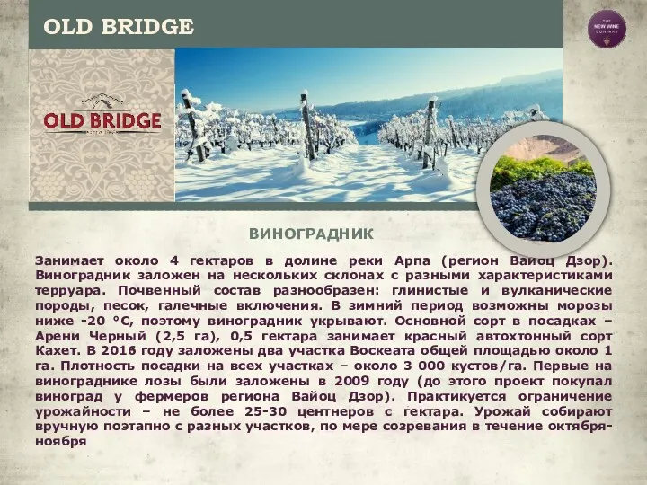 OLD BRIDGE ВИНОГРАДНИК Занимает около 4 гектаров в долине реки