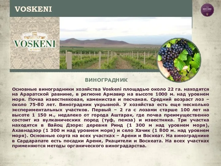 VOSKENI ВИНОГРАДНИК Основные виноградники хозяйства Voskeni площадью около 22 га.