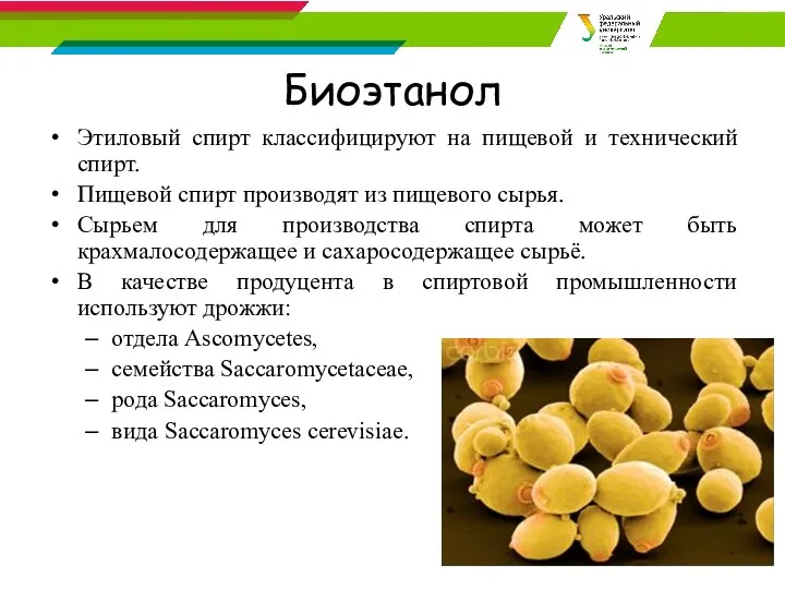 Биоэтанол Этиловый спирт классифицируют на пищевой и технический спирт. Пищевой