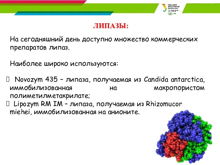 ЛИПАЗЫ: На сегодняшний день доступно множество коммерческих препаратов липаз. Наиболее