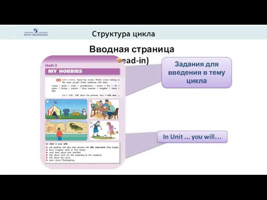 Структура цикла Вводная страница (Lead-in) Задания для введения в тему цикла In Unit ... you will…