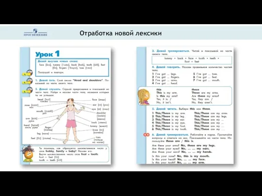 Отработка новой лексики