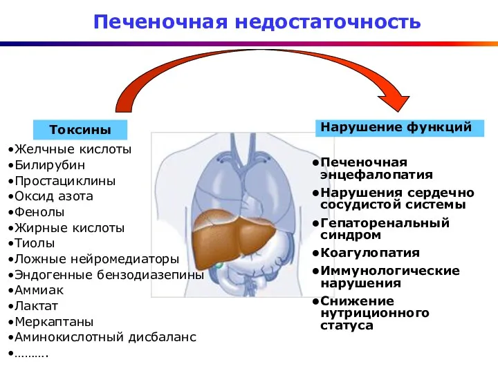 Печеночная недостаточность Желчные кислоты Билирубин Простациклины Оксид азота Фенолы Жирные