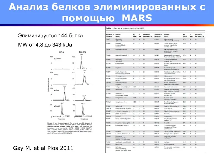 Анализ белков элиминированных с помощью MARS Элиминируется 144 белка MW