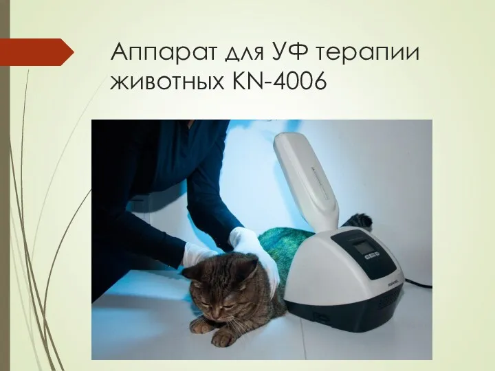 Аппарат для УФ терапии животных KN-4006
