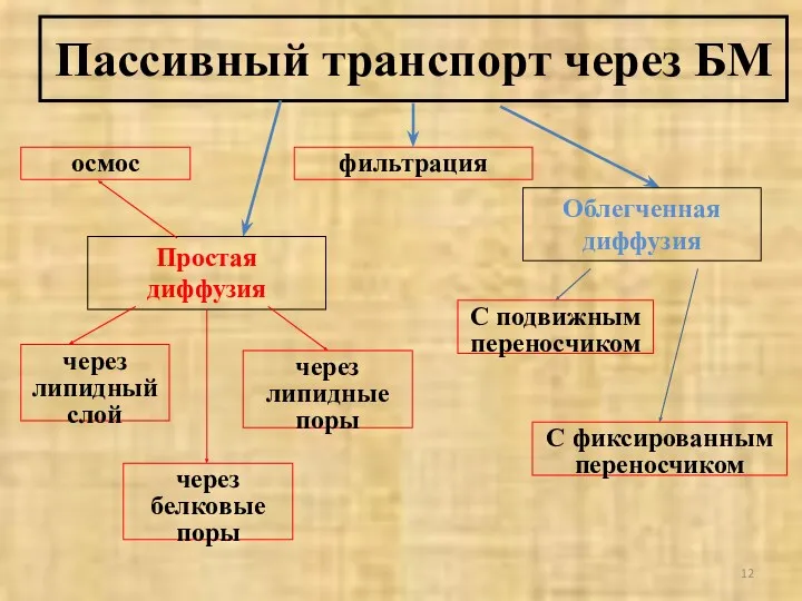 Пассивный транспорт через БМ Простая диффузия Облегченная диффузия фильтрация осмос