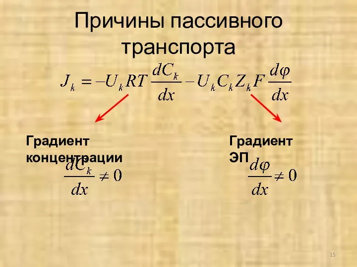 Причины пассивного транспорта Градиент концентрации Градиент ЭП