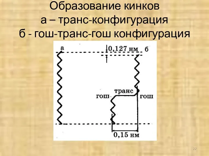 Образование кинков а – транс-конфигурация б - гош-транс-гош конфигурация