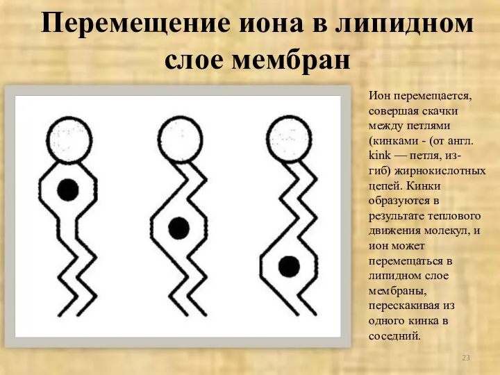 Перемещение иона в липидном слое мембран Ион перемещается, совершая скачки