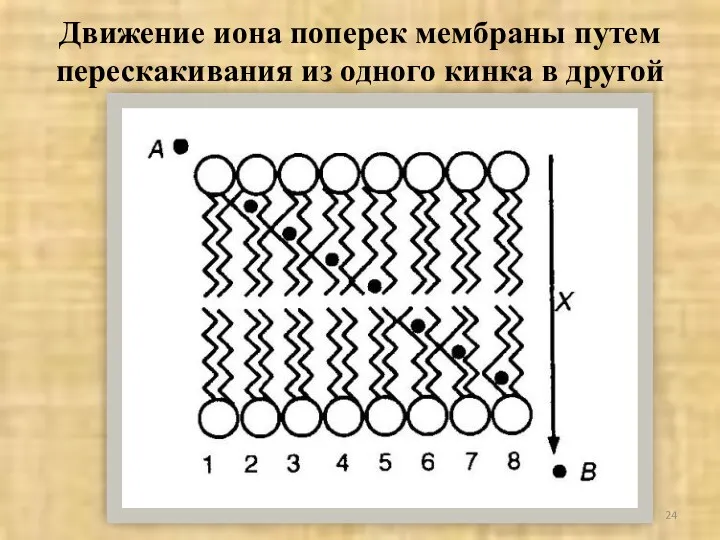 Движение иона поперек мембраны путем перескакивания из одного кинка в другой