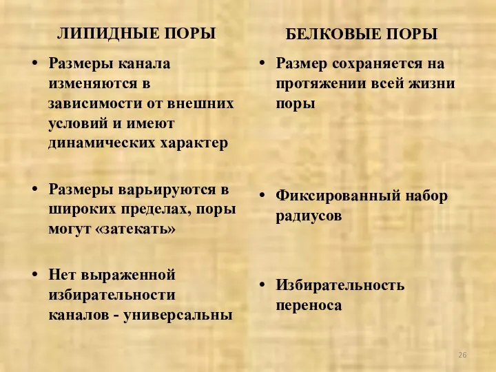 ЛИПИДНЫЕ ПОРЫ БЕЛКОВЫЕ ПОРЫ Размеры канала изменяются в зависимости от