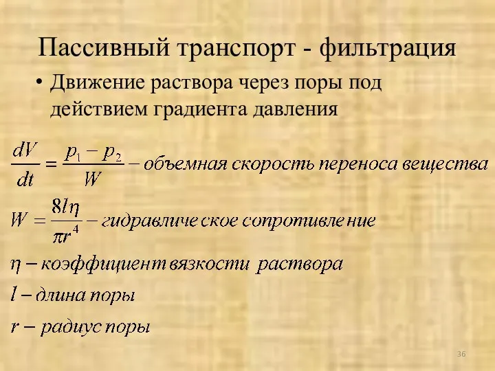 Пассивный транспорт - фильтрация Движение раствора через поры под действием градиента давления