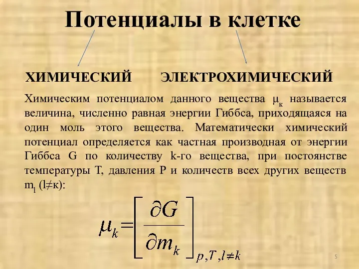 Потенциалы в клетке ХИМИЧЕСКИЙ ЭЛЕКТРОХИМИЧЕСКИЙ Химическим потенциалом данного вещества μк