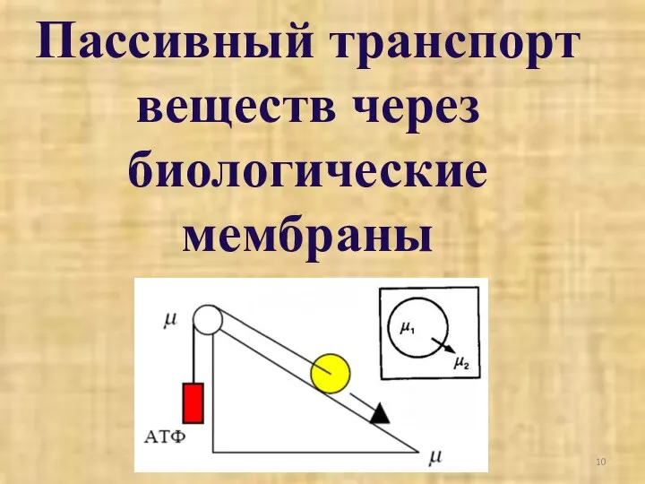 Пассивный транспорт веществ через биологические мембраны