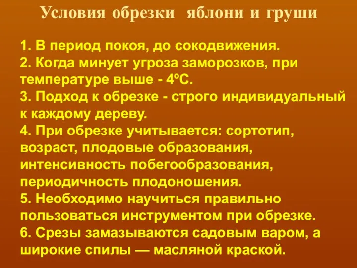 Условия обрезки яблони и груши 1. В период покоя, до