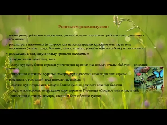 Родителям рекомендуется: поговорить с ребенком о насекомых, уточнить, каких насекомых