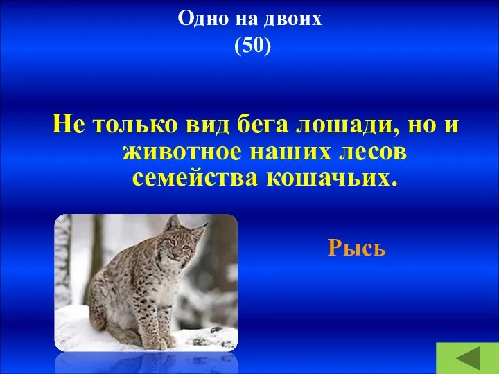 Одно на двоих (50) Не только вид бега лошади, но