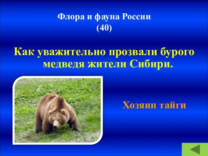 Флора и фауна России (40) Как уважительно прозвали бурого медведя жители Сибири. Хозяин тайги