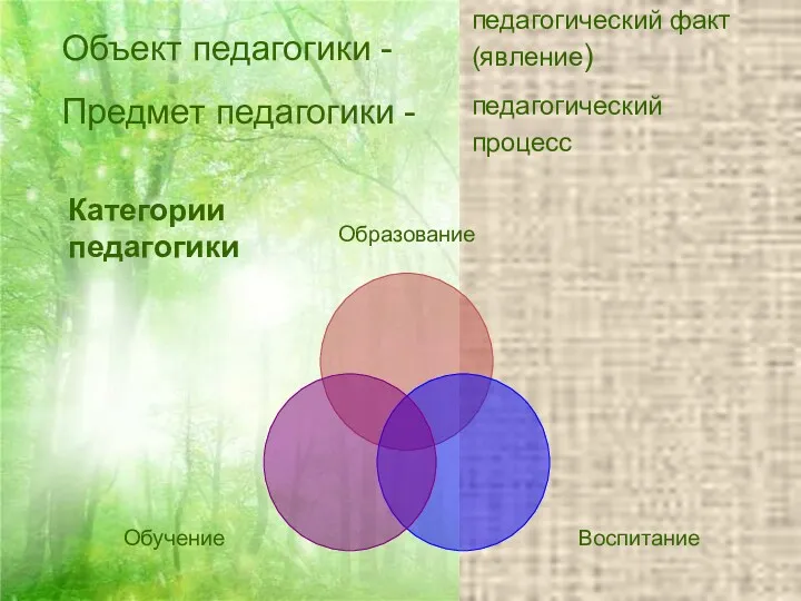 Объект педагогики - Предмет педагогики - педагогический процесс педагогический факт (явление) Категории педагогики