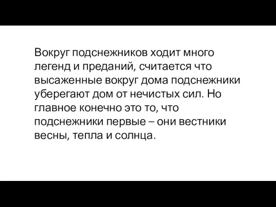 Вокруг подснежников ходит много легенд и преданий, считается что высаженные