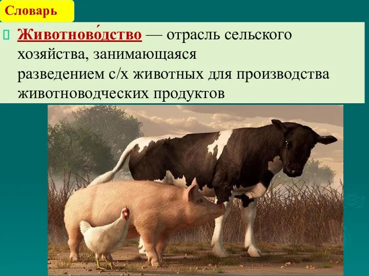 Животново́дство — отрасль сельского хозяйства, занимающаяся разведением с/х животных для производства животноводческих продуктов Словарь