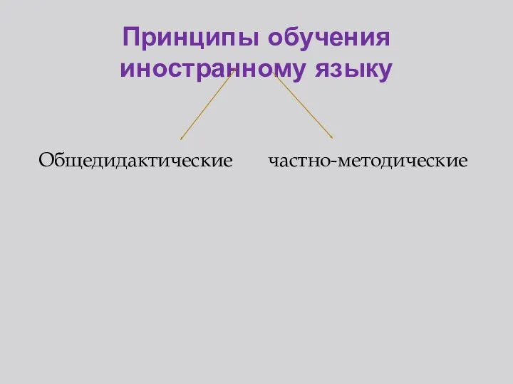 Принципы обучения иностранному языку Общедидактические частно-методические