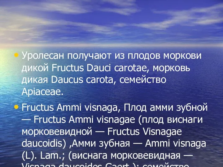 Уролесан получают из плодов моркови дикой Fructus Dauci carotae, морковь