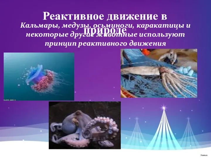 Реактивное движение в природе Кальмары, медузы, осьминоги, каракатицы и некоторые другие животные используют принцип реактивного движения