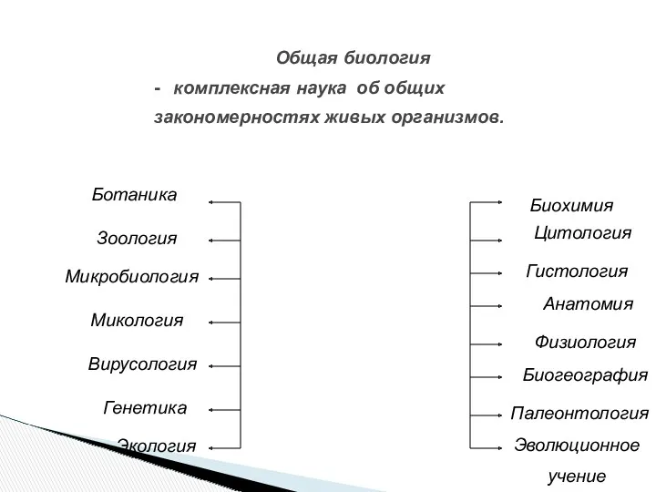 Общая биология Ботаника Зоология Микробиология Микология Вирусология Биохимия Цитология Гистология