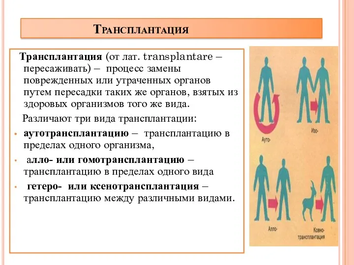 Трансплантация Трансплантация (от лат. transplantare – пересаживать) – процесс замены