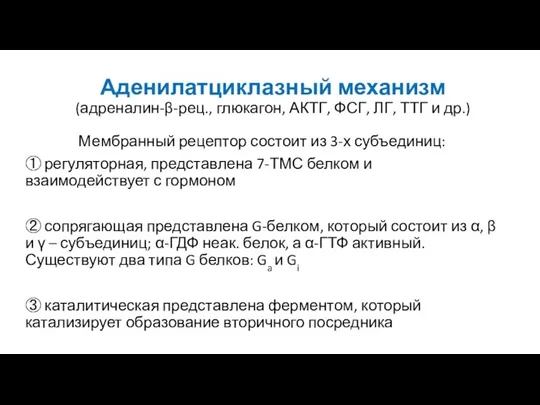 Аденилатциклазный механизм (адреналин-β-рец., глюкагон, АКТГ, ФСГ, ЛГ, ТТГ и др.)