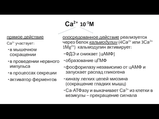 Са2+ 10-5М прямое действие Са2+ участвует: в мышечном сокращении в