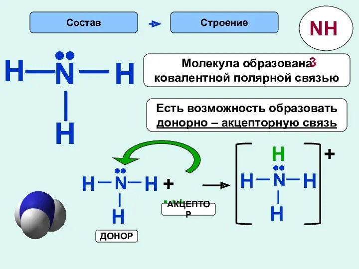 H Строение N H H •• Есть возможность образовать донорно