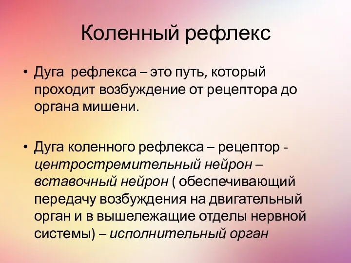 Коленный рефлекс Дуга рефлекса – это путь, который проходит возбуждение от рецептора до