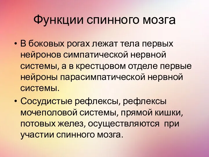 Функции спинного мозга В боковых рогах лежат тела первых нейронов симпатической нервной системы,