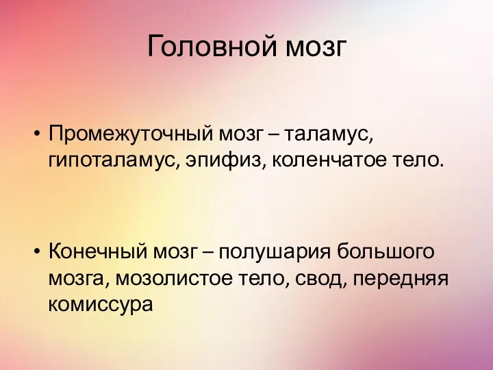 Головной мозг Промежуточный мозг – таламус, гипоталамус, эпифиз, коленчатое тело. Конечный мозг –