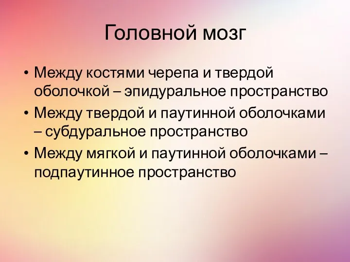 Головной мозг Между костями черепа и твердой оболочкой – эпидуральное