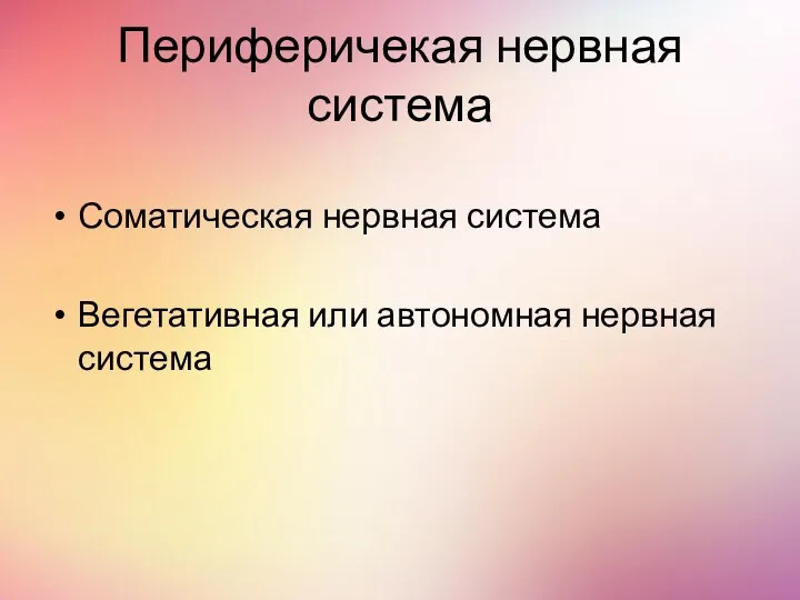 Периферичекая нервная система Соматическая нервная система Вегетативная или автономная нервная система