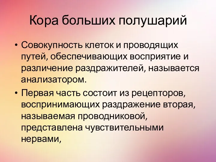 Кора больших полушарий Совокупность клеток и проводящих путей, обеспечивающих восприятие и различение раздражителей,