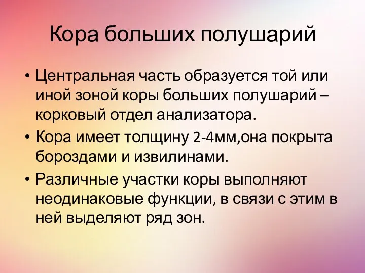 Кора больших полушарий Центральная часть образуется той или иной зоной коры больших полушарий