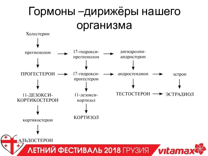 Гормоны –дирижёры нашего организма