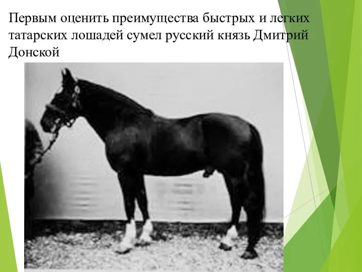Первым оценить преимущества быстрых и легких татарских лошадей сумел русский князь Дмитрий Донской