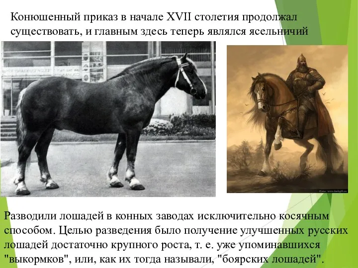 Разводили лошадей в конных заводах исключительно косячным способом. Целью разведения