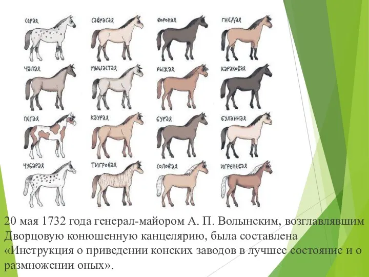 20 мая 1732 года генерал-майором А. П. Волынским, возглавлявшим Дворцовую