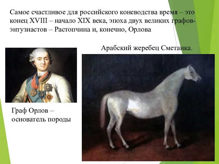 Самое счастливое для российского коневодства время – это конец XVIII