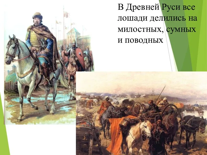 В Древней Руси все лошади делились на милостных, сумных и поводных