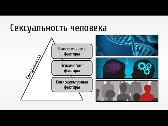 Сексуальность человека