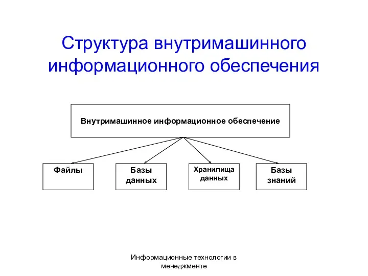 Информационные технологии в менеджменте Структура внутримашинного информационного обеспечения