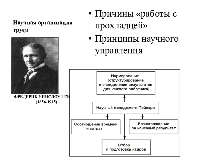 Научная организация труда ФРЕДЕРИК УИНСЛОУ ТЕЙЛОР (1856-1915) Причины «работы с прохладцей» Принципы научного управления