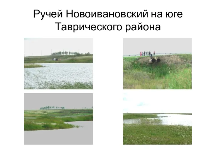 Ручей Новоивановский на юге Таврического района